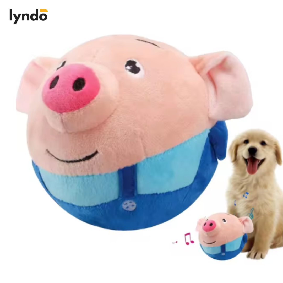 PETPLAY | INTERAKTIVT NÖJE FÖR DITT HUSDJUR