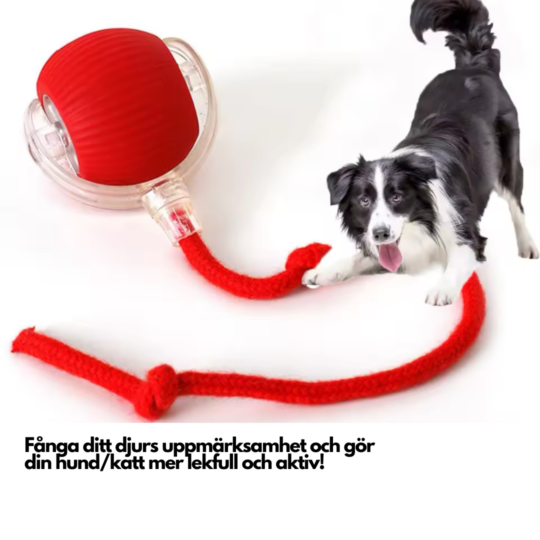 TassBollen™